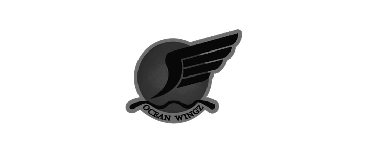 Oceanwingz Logo Update